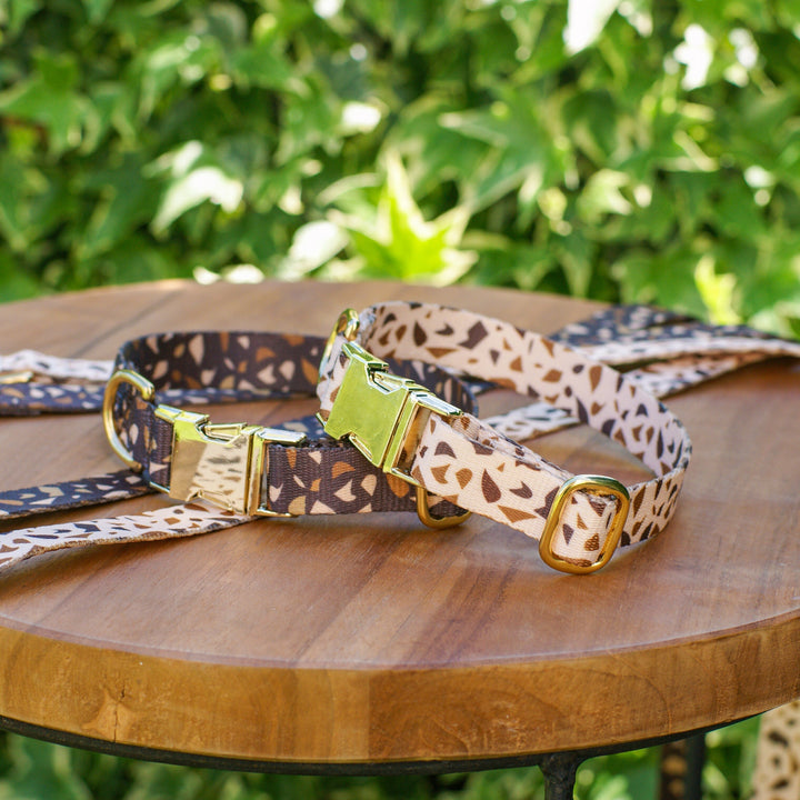 Durable & stylish dog collar with golden hardware. Unique terrazzo pet accessory, perfect for any dog.