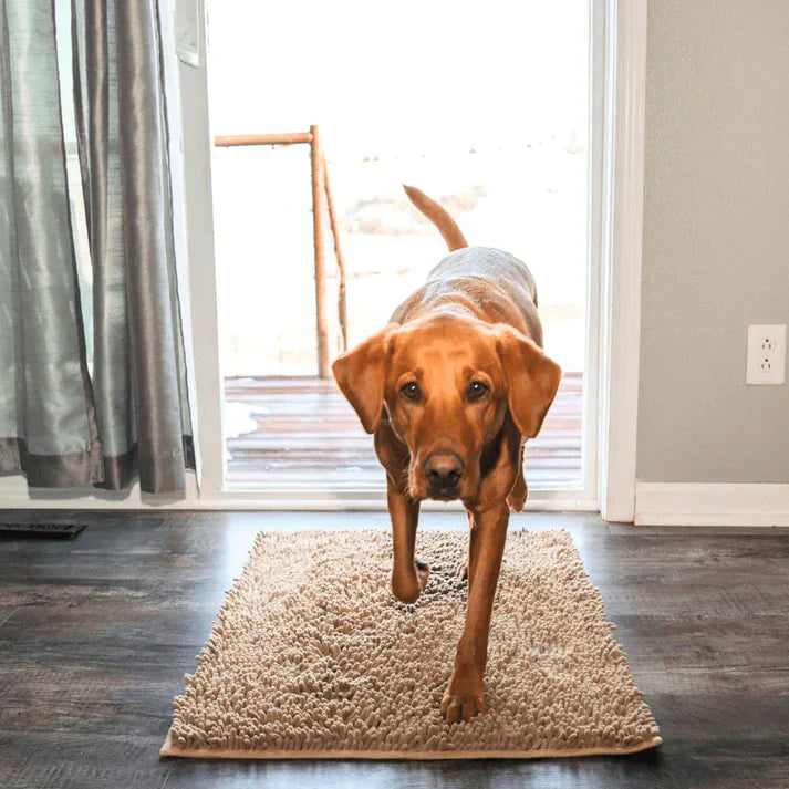 Keep floors spotless with PawMat super absorbent dog mat. Ideal for wet paws & protecting surfaces.