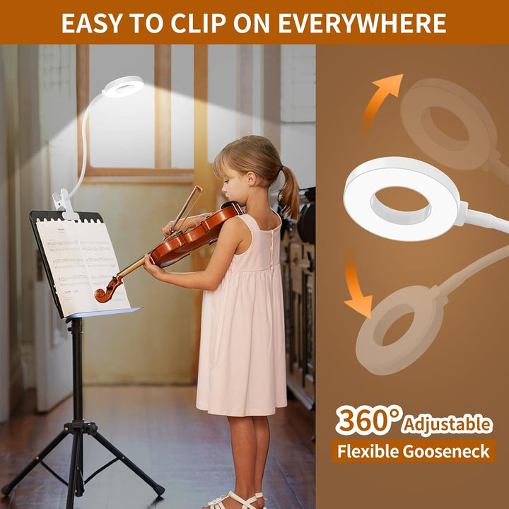 Energy-efficient LED study lamp with clamp, featuring a flexible gooseneck design