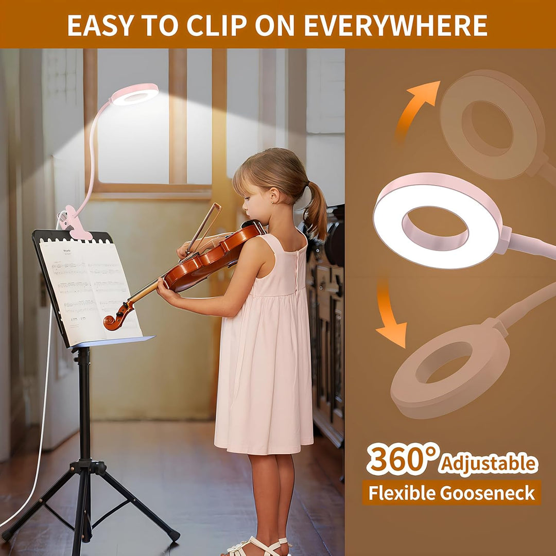Portable LED clamp reading light with flexible gooseneck, great for travel or small spaces