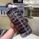 Transparent Purple