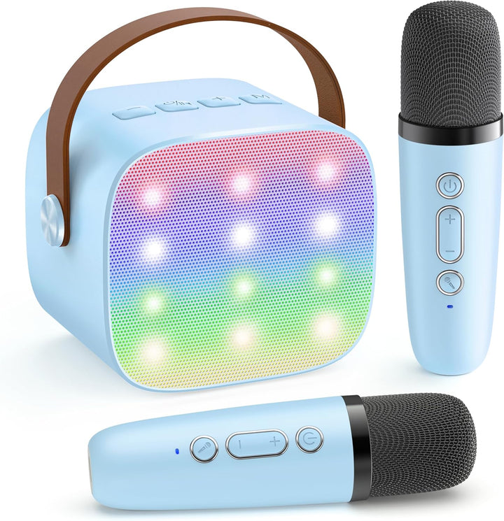 Back panel of Veylo portable karaoke machine showing input/output ports