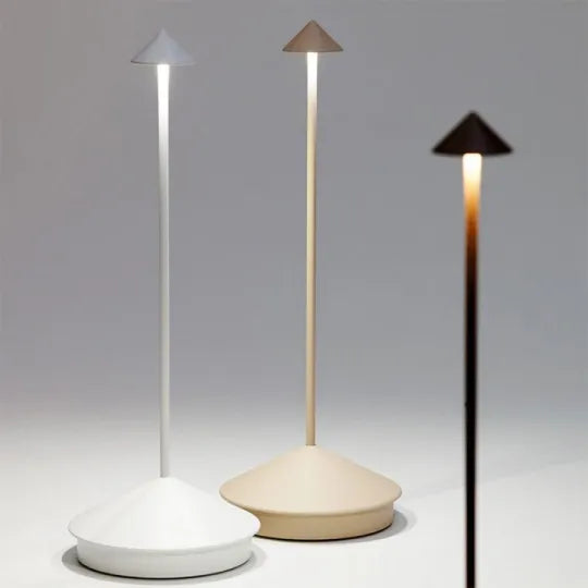 Portable dimmable LED lamp, wireless design, versatile indoor outdoor accent lighting