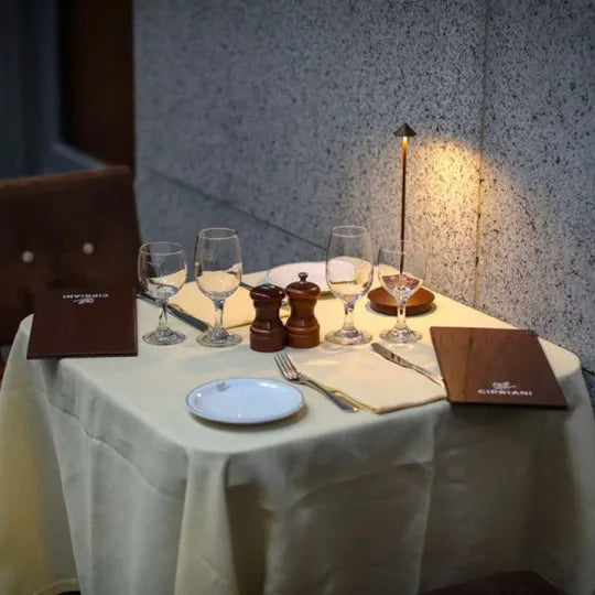 Stylish wireless LED lamp for indoor and outdoor use, offers versatile dimmable lighting