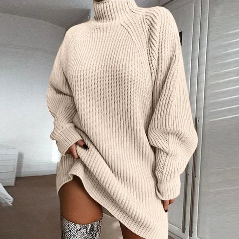 Women's comfortable winter dress with a warm turtleneck and long sleeves. Perfect for cozy fashion.