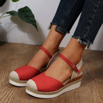 Red/Brown