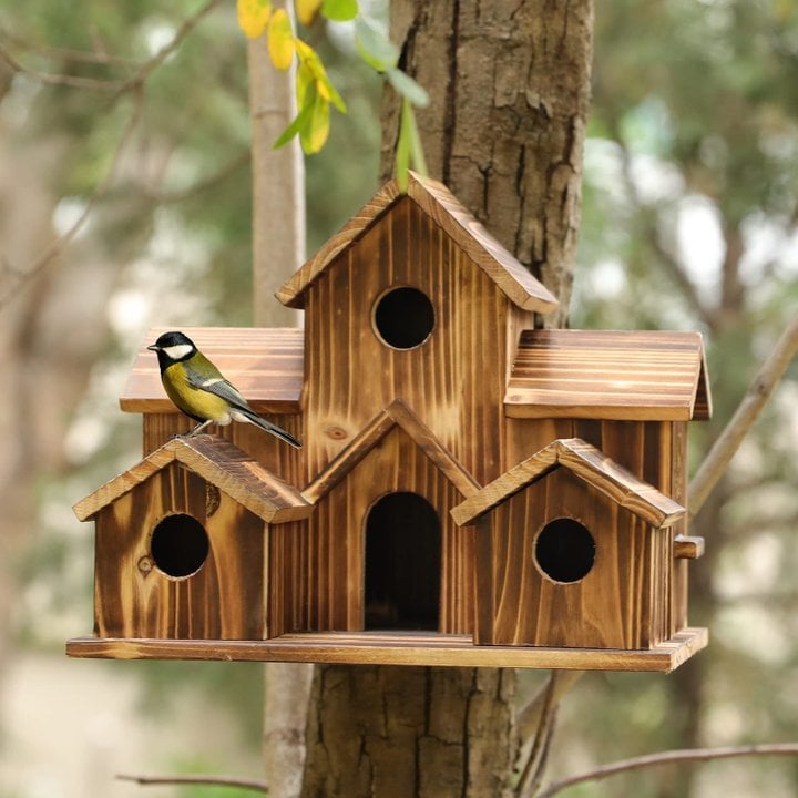 Functional wooden nesting box for garden birds, Nestora, enhancing wildlife habitat